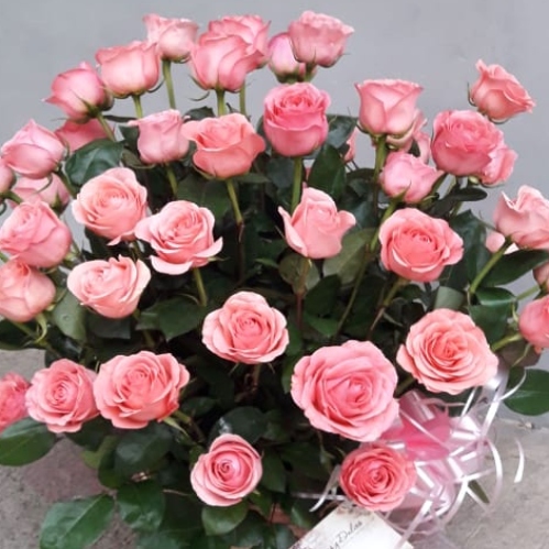 Super Canasta 50 Rosas Rosadas